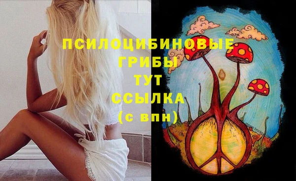 скорость Краснотурьинск