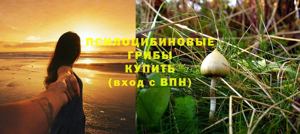 ALPHA-PVP Костерёво
